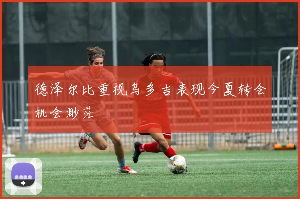 德泽尔比重视乌多吉表现今夏转会机会渺茫